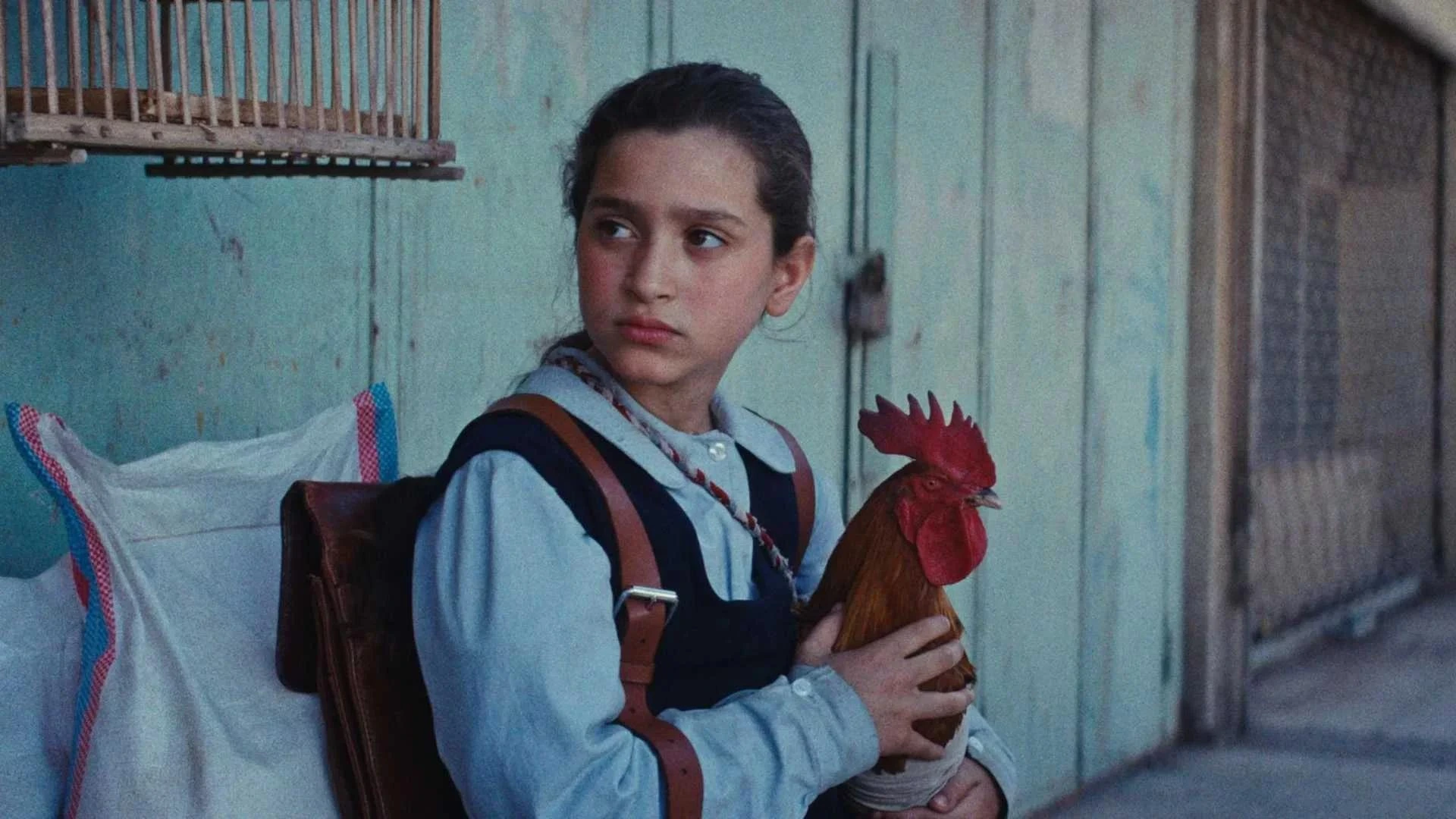 bambina con gallina la torta del presidente
